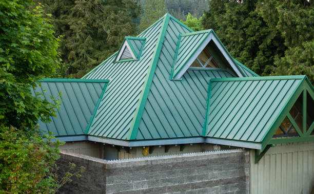 Best Sheet Metal Roofing  in Laguna Heights, TX